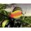 Magic Trout Bloody Big Spoon 3/2,6g Yellow/Green