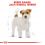 ROYAL CANIN JACK RUSSELL TERRIER ADULT  1,5 kg