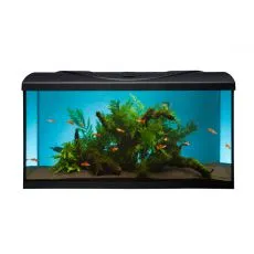 Aquarium STARTUP 80 LED Expert 16W - PŁASKIE - CZARNE