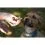 Geloren DOG tabletki żelatynowe do żucia L-XL, 420 g (60 szt.)