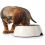 Miska melaminowa Hunter czarna 160 ml, Ø 14 cm