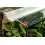 TERRASET 30 FOREST terrarium - 30 x 25 x 35 cm