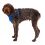Ruffwear Front Range® Harness, Blue Pool L/XL