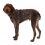 Ruffwear Front Range® Harness, Moonlight Mountains XXS