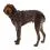 Ruffwear Front Range&reg; Harness, Moonlight Mountains M