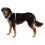 Ruffwear Front Range® Harness, Spring Mountains XXS