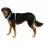 Ruffwear Front Range&reg; Harness, Spring Mountains XXS