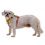 Ruffwear Hi & Light™ Harness szelki, Lichen Green XXS