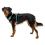 Ruffwear Hi & Light™ Harness szelki, Sage Green S