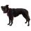 Ruffwear Hi & Light™ Harness szelki, Alpenglow Pink XXS