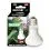 REPTILE NOVA Daylight UVA 25 W
