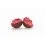 Mivardi Rapid Boilies Starter - Fruit Bomb 3,5kg/24mm