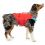 Kurgo Surf N Turf Dog Life Jacket Kamizelka do pływania dla psów, XL czerwona