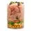 Carnilove True Fresh CHICKEN Junior Large Breed 1,4 kg