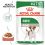 Pouch Royal Canin Mini Adult 36 x 85 g