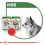 Pouch Royal Canin Mini Adult 36 x 85 g