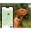 Tractive DOG 6 - lokalizator GPS dla ps&oacute;w i monitor zdrowia, brązowy