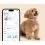 Tractive DOG 6 - lokalizator GPS dla ps&oacute;w i monitor zdrowia, brązowy