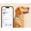 Tractive DOG 6 - lokalizator GPS dla ps&oacute;w i monitor zdrowia, miętowy