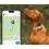 Tractive DOG 6 - lokalizator GPS dla ps&oacute;w i monitor zdrowia, miętowy