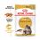 Royal Canin Maine Coon - saszetka, 24 x 85 g