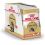 Royal Canin Maine Coon - saszetka, 24 x 85 g