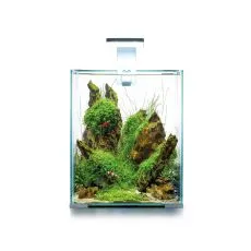 AQUAEL SHRIMP SET SMART D&N 20 biały