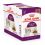 Royal Canin FHN Sensory Smell Gravy 36 x 85 g