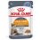 Royal Canin Hair & Skin Care saszetki w galaretce dla kot&oacute;w 24 x 85 g