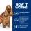 Hill's Prescription Diet Canine z/d AB+ 10 kg + 2x przekąski GRATIS