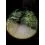 HOLDCARP Zoomable Sensor Headlamp