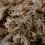Terrabloom Moss 12 l - prasowany