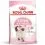 ROYAL CANIN Kitten Karma dla kociąt w ich drugiej fazie wzrostu 4 kg