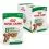 Royal Canin Dog Mini Ageing saszetka w sosie 12 x 85 g