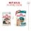 Royal Canin AGEING 11+ Gravy kawałki w sosie dla starszych kot&oacute;w powyżej 11 lat 36 x 85 g