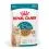 Royal Canin AGEING 15+ Gravy kawałki w sosie dla starszych kot&oacute;w powyżej 15 lat 36 x 85 g