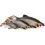 Westin RICKY THE ROACH SHADTAIL 14cm/42g Preyfish 1x
