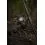 Shimano TX-5A Carp 3,05m/2.75lb