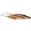 Westin SHADTEEZ PIN-TAIL 11cm/3.5g Ayu Shad 2x