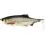 Westin RICKY THE ROACH SHADTAIL 14cm/42g Real Roach 1x