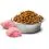 Farmina N&D dog BROWN (GF) adult medium & maxi lamb, spirulina & carrot 2 kg
