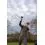 Korum Limitless Feeder 13ft 3.9m/200g/3