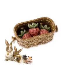 Veggie Bites BERRY - przysmak dla gryzoni i kr&oacute;lik&oacute;w
