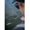 Fox Rage Warrior Zander Jig 240cm/10-30g