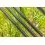 Preston Monster Xtreme Distance Feeder 4.0m/180g/3