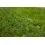 Preston Monster Xtreme Distance Feeder 4.0m/180g/3