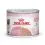 Royal Canin Mother & Babycat Instinctive pasztet dla kotek karmiących i kociąt 12 x 195 g
