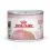 Royal Canin Mother & Babycat Instinctive pasztet dla kotek karmiących i kociąt 12 x 195 g