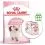 Royal Canin KITTEN 10 kg + 12 saszetek GRATIS
