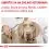 Royal Canin VHN Neutered Adult Small Dog 3,5 kg - USZKODZONE OPAKOWANIE